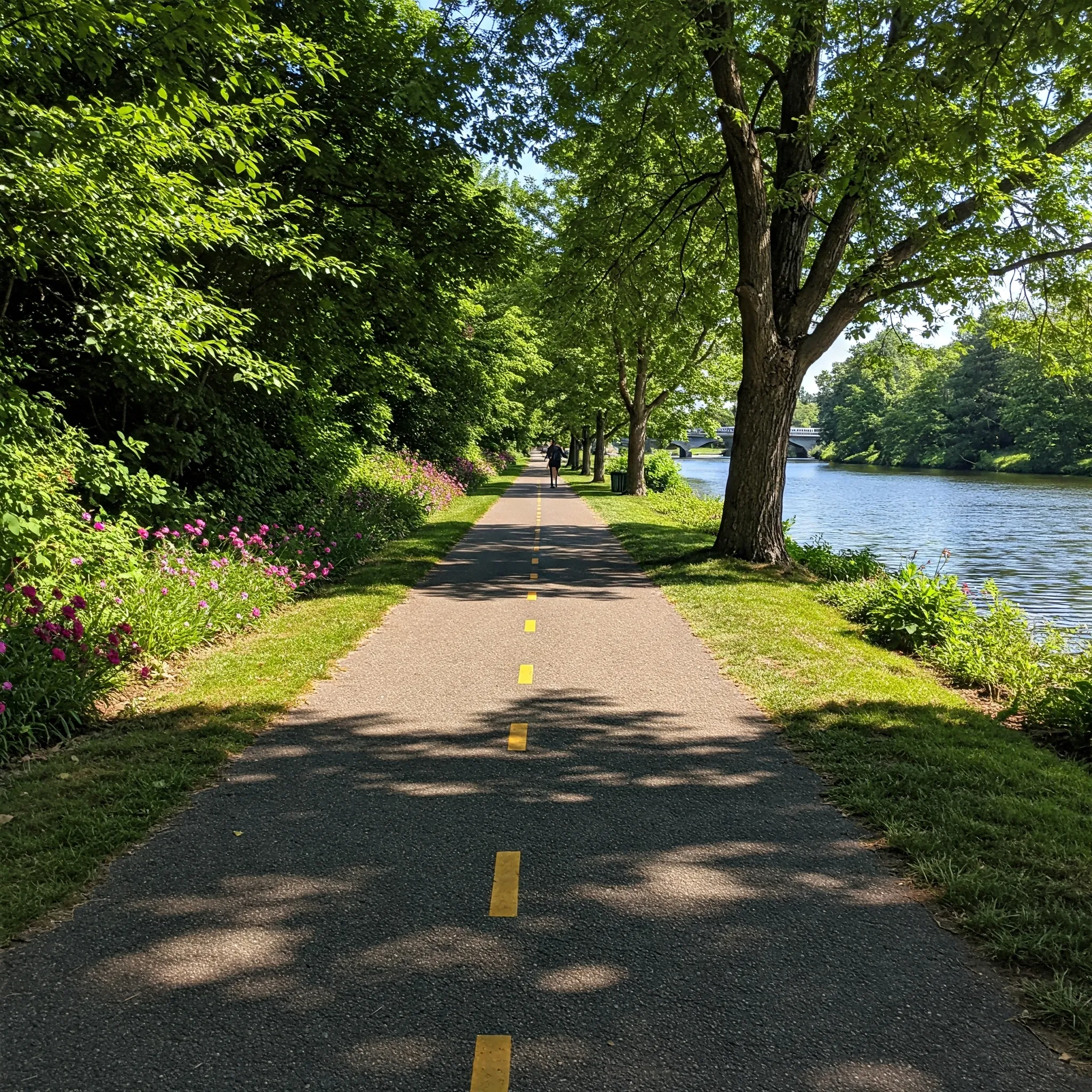 เส้นทางการวิ่งที่เหมาะสมสำหรับผู้เริ่มต้น